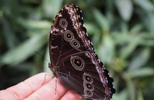 Mindo Cloud Forest PRIVATE Day Trip