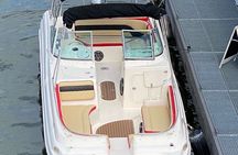 Explore Bird & Marine Wildlife private Boat Tour in English