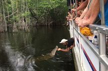 Black River Safari/YS Falls plus Floyd's Pelican Bar Private Tour 