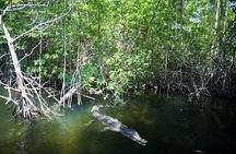Black River Safari/YS Falls plus Floyd's Pelican Bar Private Tour 