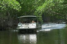 Black River Safari plus YS Falls Private Tour 