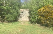Stanmore Circular Private Walking Tour