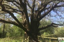 Stanmore Circular Private Walking Tour