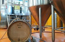 Tuscan Brewery Guided Tour with beer and food tasting