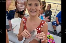 Big Fun Dolphin Cruise & Sealife Experiece ORANGE BEACH ALABAMA
