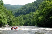 Upper Pigeon River Whitewater Rafting