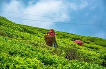 The Land Mark Tour (Nautical Day Darjeeling To Mirik crusade)