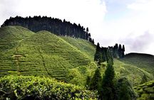 The Land Mark Tour (Nautical Day Darjeeling To Mirik crusade)