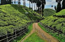 The Land Mark Tour (Nautical Day Darjeeling To Mirik crusade)