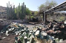 Private Tour of the Mezcal Route with Ancestral Drinks
