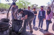 Private Tour of the Mezcal Route with Ancestral Drinks