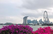 BEST Singapore Private City Tour by an Insider (1/2/3 x full-day)