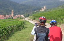 Through Alsace Vineyards and Wine Villages Private Bike Tour