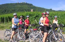 Through Alsace Vineyards and Wine Villages Private Bike Tour