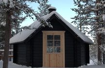 Secrets of Inari's Snowy Forest - Biologist-Led Snowshoe Walk