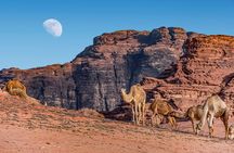 2-Night Private Jordan Secret Escape Tour: Petra, Wadi Rum, and Dead Sea 