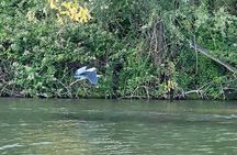 Explore Bird & Marine Wildlife private Boat Tour in English
