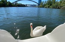 Explore Bird & Marine Wildlife private Boat Tour in English