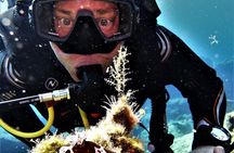 Private Scuba Diving Experience in Mandraki