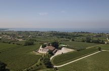 Visit and wine tasting at Tenuta La Cà