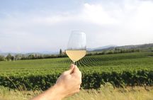 Visit and wine tasting at Tenuta La Cà