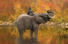 Classic Kruger National Park