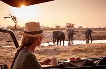 Classic Kruger National Park