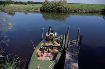 Birdwatching by boat in a small group in the Pialassa Baiona