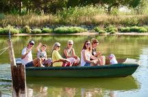 Birdwatching by boat in a small group in the Pialassa Baiona