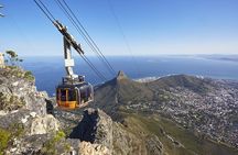 Table Mountain, Penguins, Cape of good hope and Stellenbosch tour