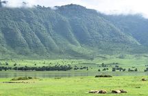 3days Serengeti National park and Ngorongoro Crater Tanzania Safari 