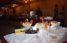 Dine in the Desert Dinner Experience at Bedouin Oasis - Ras al Khaimah