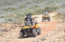 Combo Double Atv + Horses