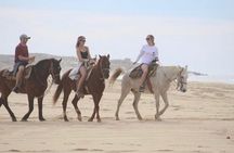 Combo Double Atv + Horses