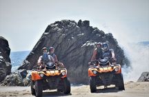 Combo Double Atv + Horses