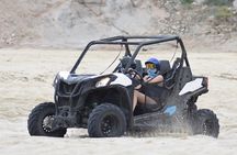 Combo Double Utv + Horses