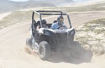 Combo Double Utv + Horses