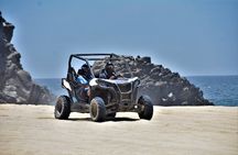 Combo Double Utv + Horses