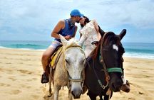 Combo Double Utv + Horses