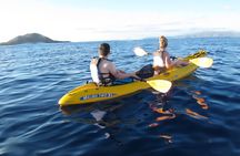 West Side Discovery Kayak & Snorkel Tour
