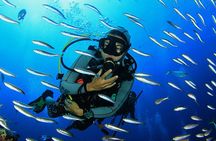 Discover Scuba Diving