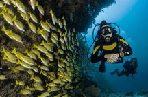 Discover Scuba Diving