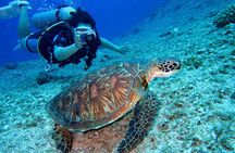 Discover Scuba Diving