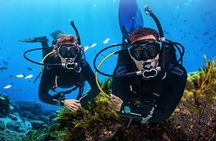 Discover Scuba Diving