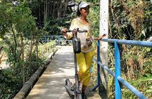 Take a E-Scooter Ride in Bangkok's Jungle