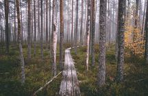 2 in 1: Sigulda and Jūrmala in a single daytrip (All Inclusive)