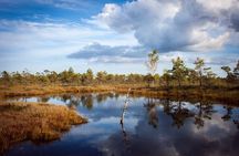 Bogs and Resorts in Jūrmala