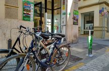 Valencia Segway Tour with Bike Rental