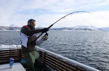 From Tromsø: Fishing Adventure