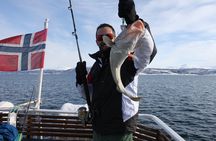 From Tromsø: Fishing Adventure